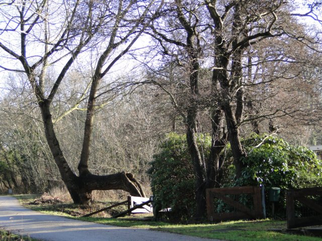 NWK 2010 181.jpg